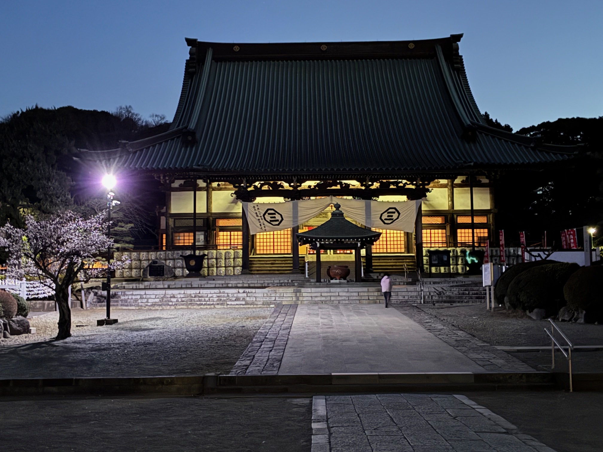 藤嶺学園藤沢中学校