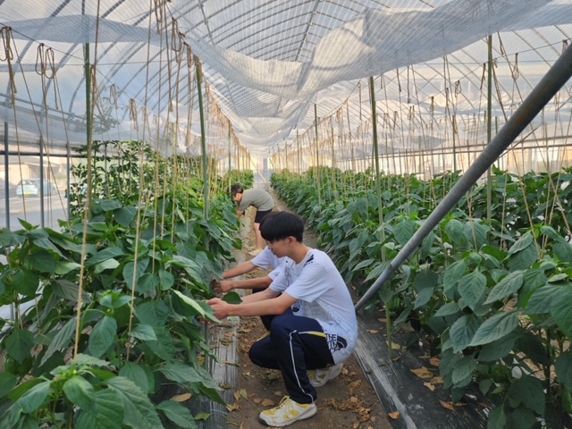 桜美林中学校