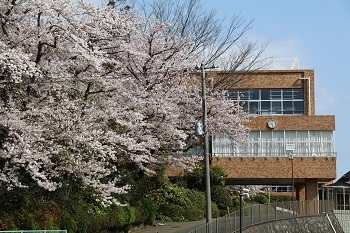 聖園女学院中学校