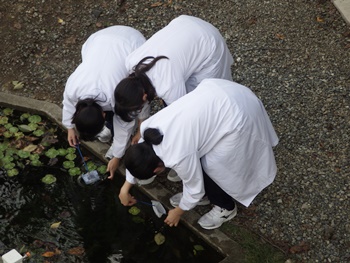 山脇学園中学校