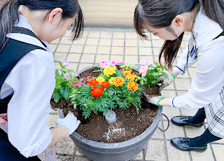 瀧野川女子学園中学校