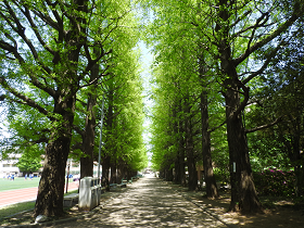 日本大学第二中学校