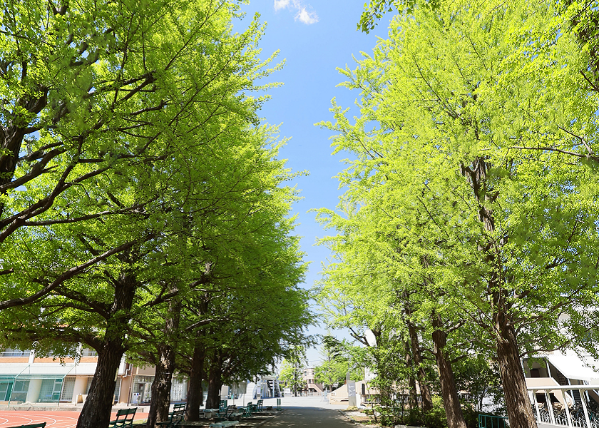 日本大学第二中学校