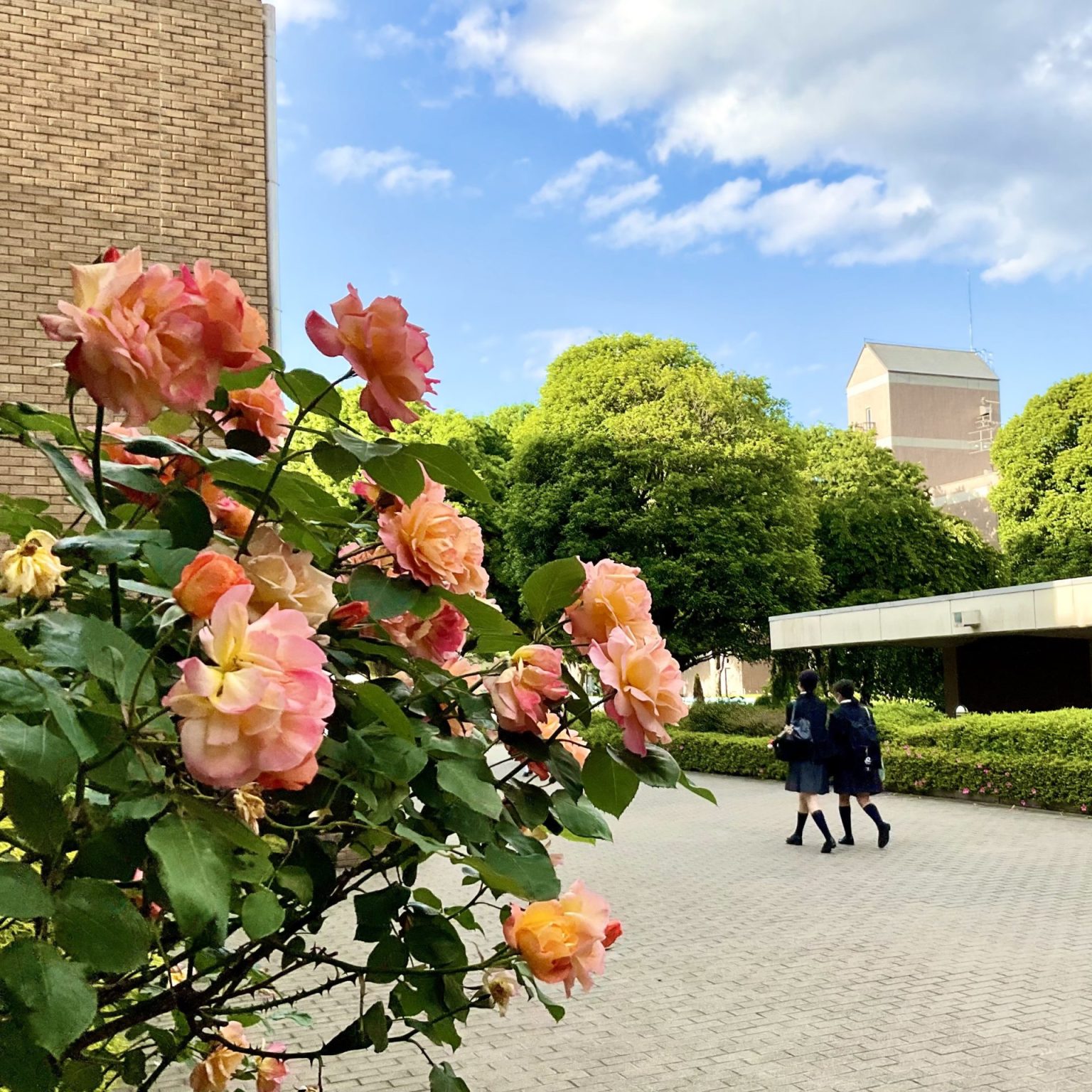 晃華学園中学校高等学校