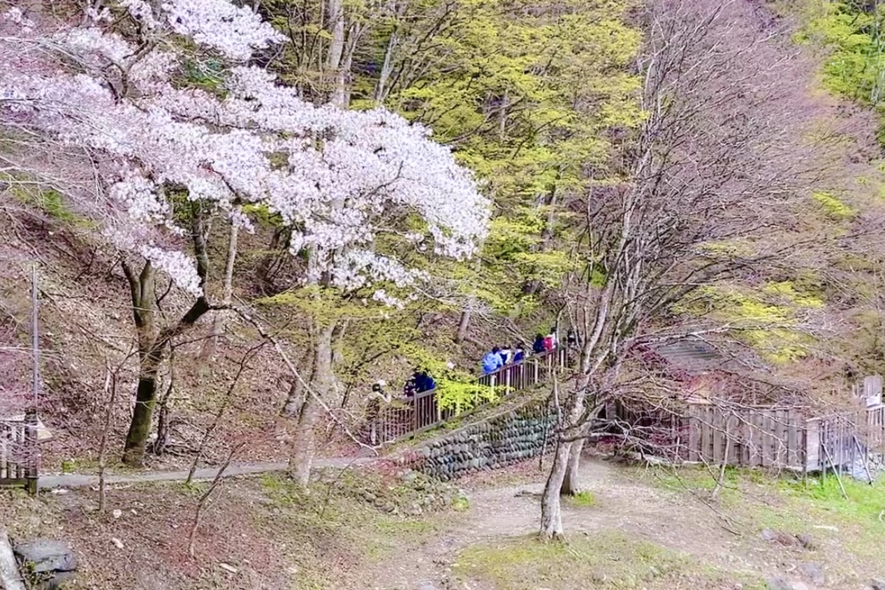 佼成学園女子中学高等学校