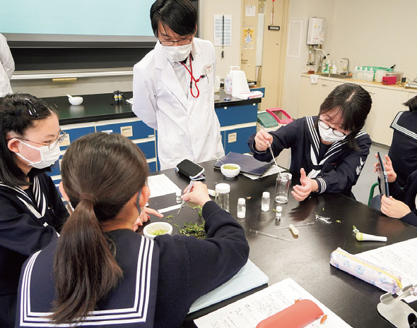 共立女子中学校