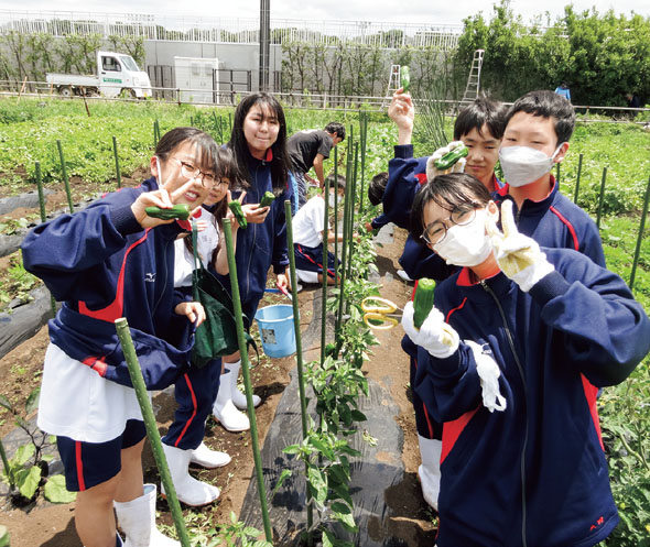 日本大学藤沢中学校