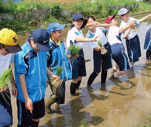 二松学舎大学附属柏中学校