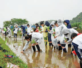 二松学舎大学附属柏中学校