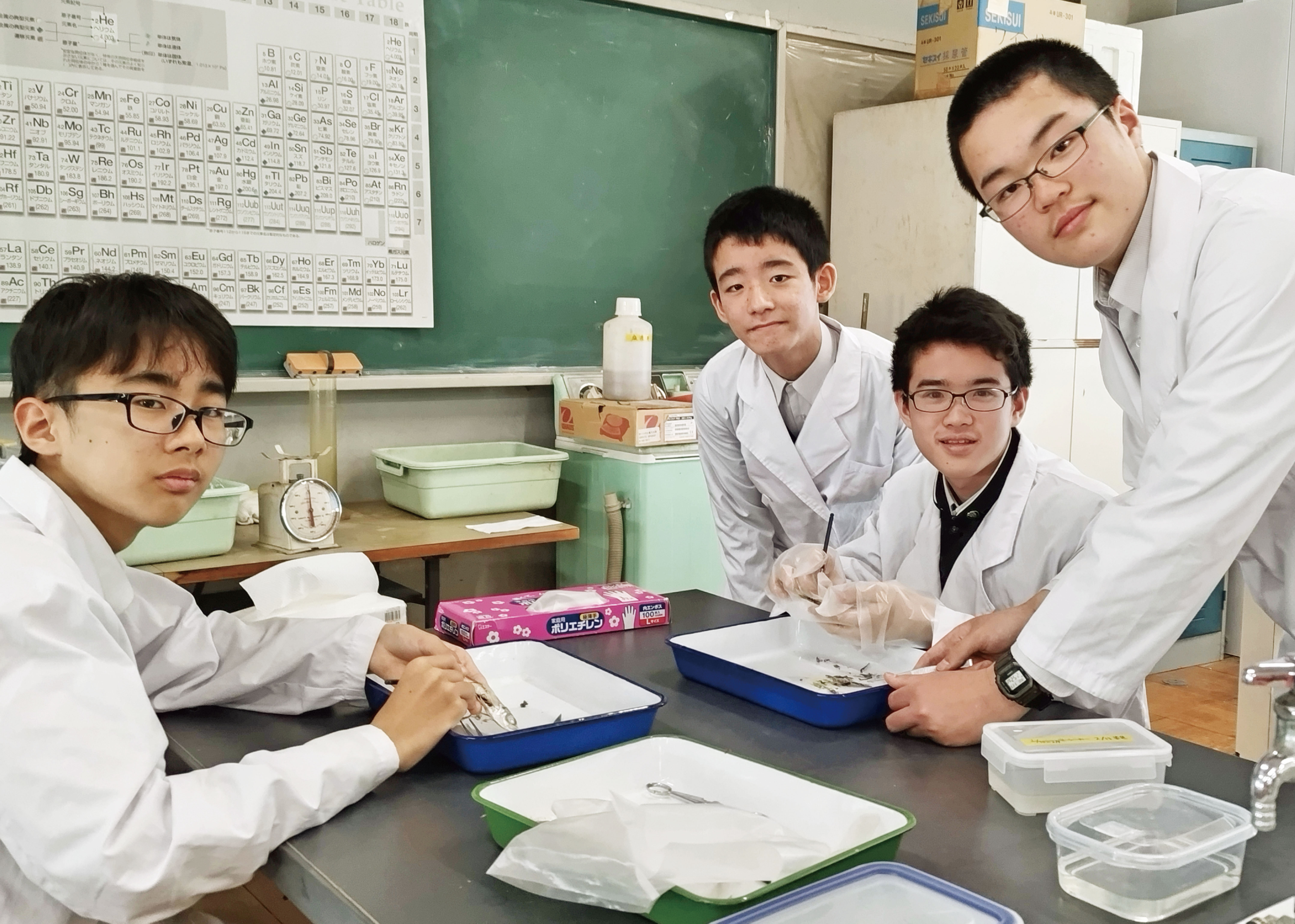 城北埼玉中学校