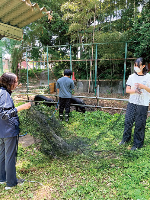 自由学園中等部