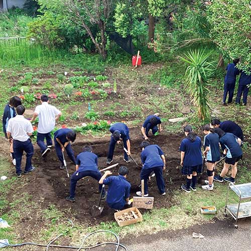 武蔵野大学中学校