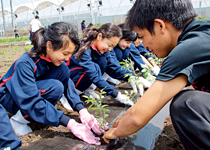 日本大学藤沢中学校