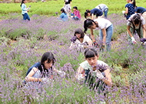 恵泉女学園中学校