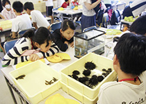 安田学園中学校