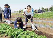 日本大学藤沢中学校