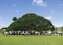 東海大学付属相模高等学校中等部