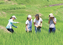 三輪田学園中学校