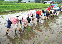 文教大学付属中学校